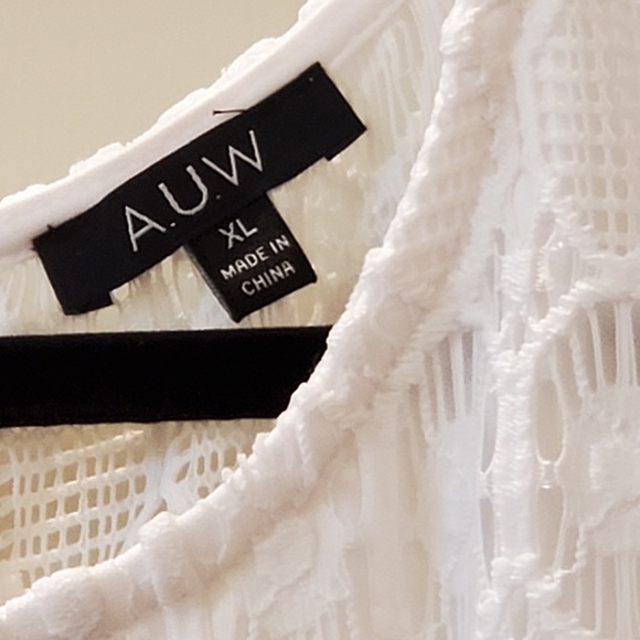 AUW Sleeveless Lace Shift Mini Dress - Picture 4 of 4